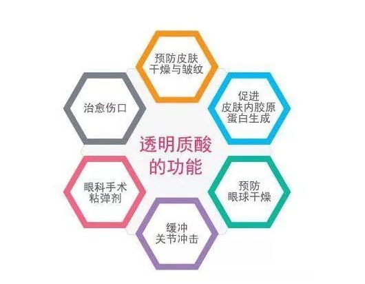 透明質酸的功能